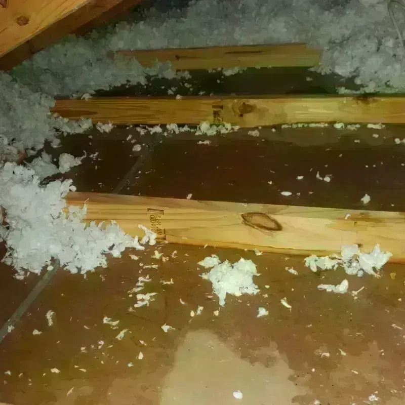 Attic Water Damage in Merced, CA